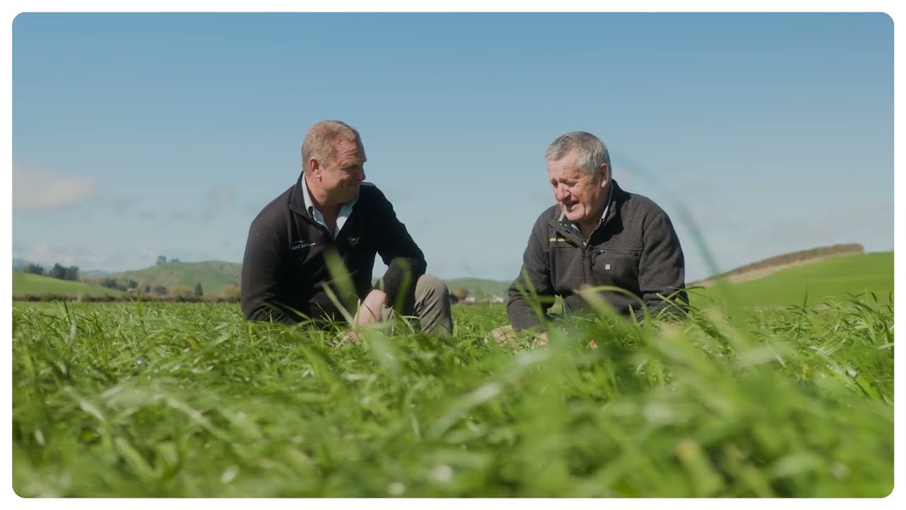 Abuzz Testimonial - John Austin | Tetraploid Annual Ryegrass | PGG Wrightson Seeds