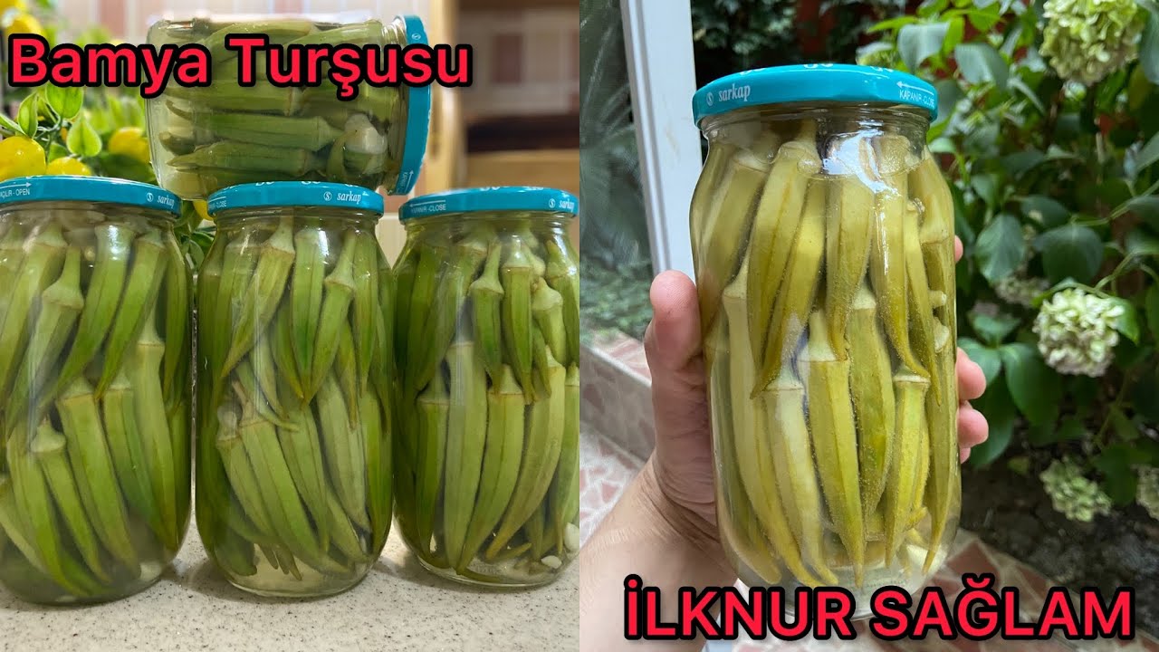 Bamya Turşusu Nasıl Yapılır?Kütür Kütür Altın Sarısı Bamya Turşusu Tarifi💯Salyalanmadan Sünmeden