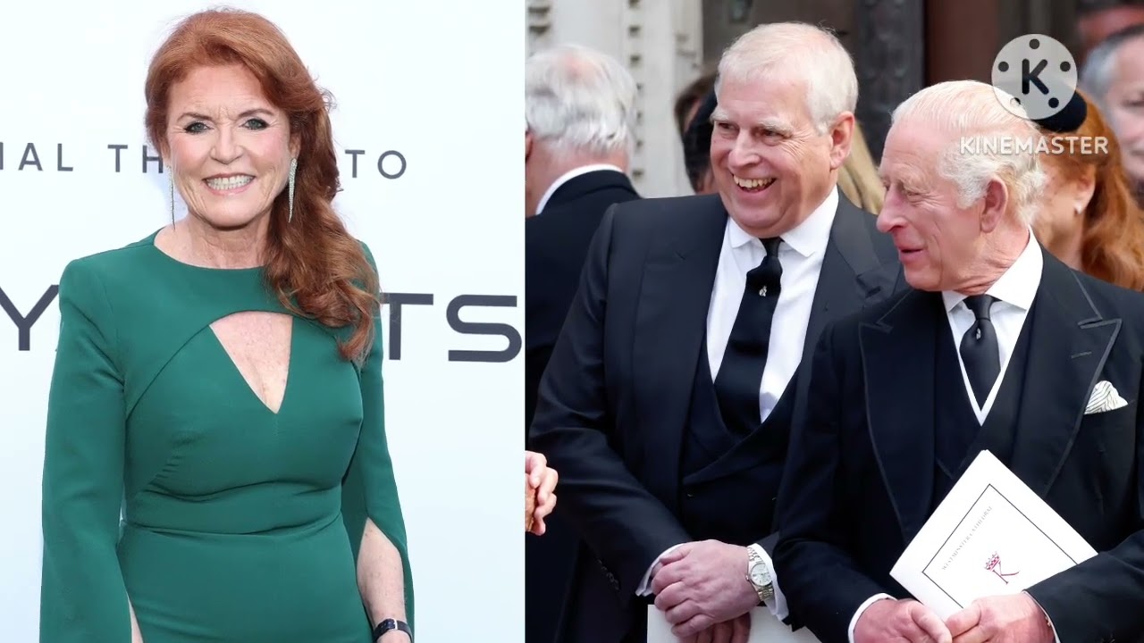 Royal Reconciliation Watch: Will Harry Mend Fences With His Family?