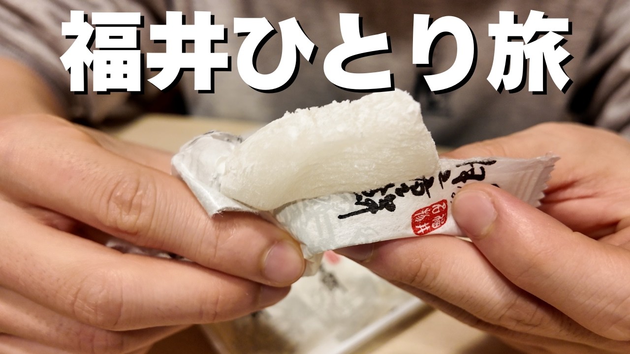 【ひとり旅】仕事終わりに初めて福井に行ったら最高でした。