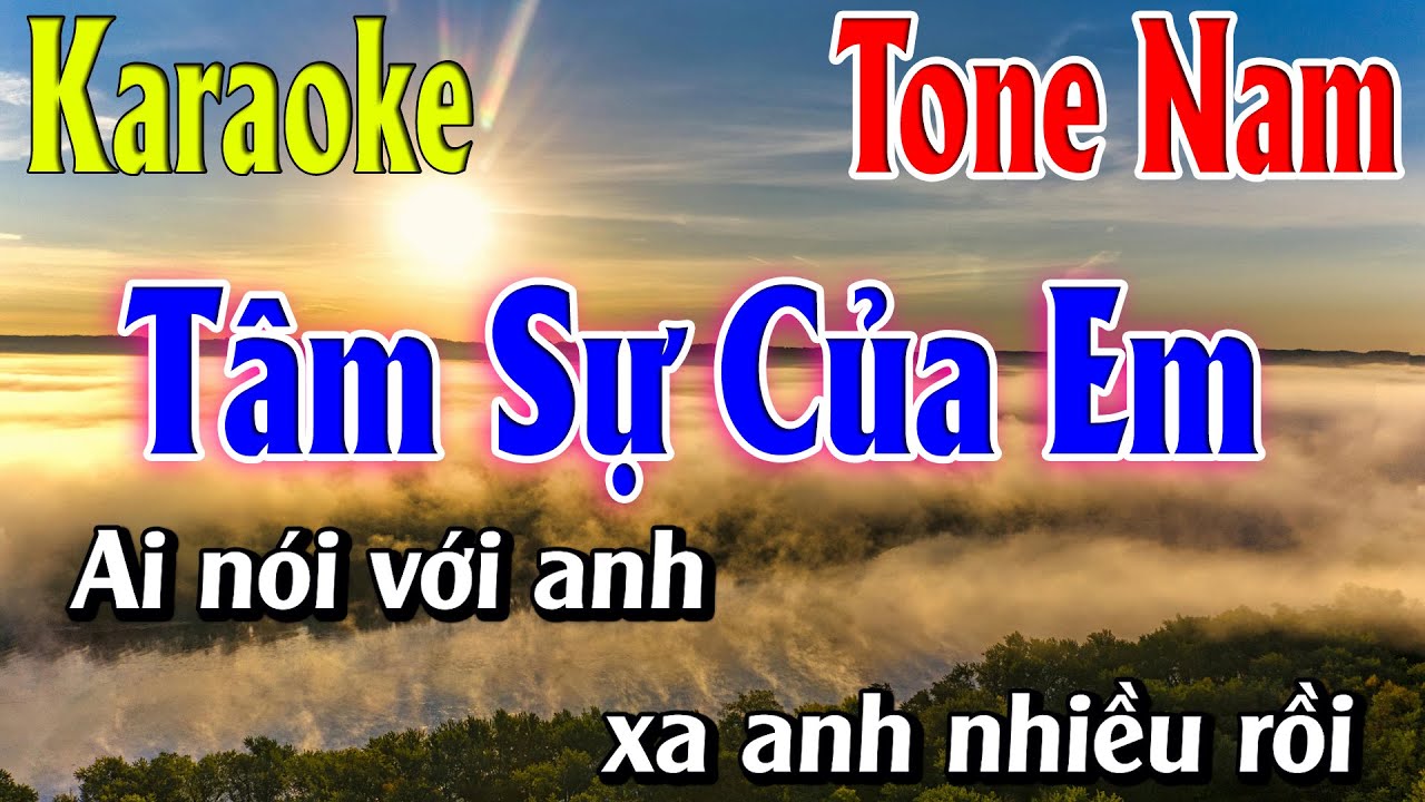 Tâm Sự Của Em Karaoke Tone Nam ( D ) Beat Mới | Karaoke Lâm Organ