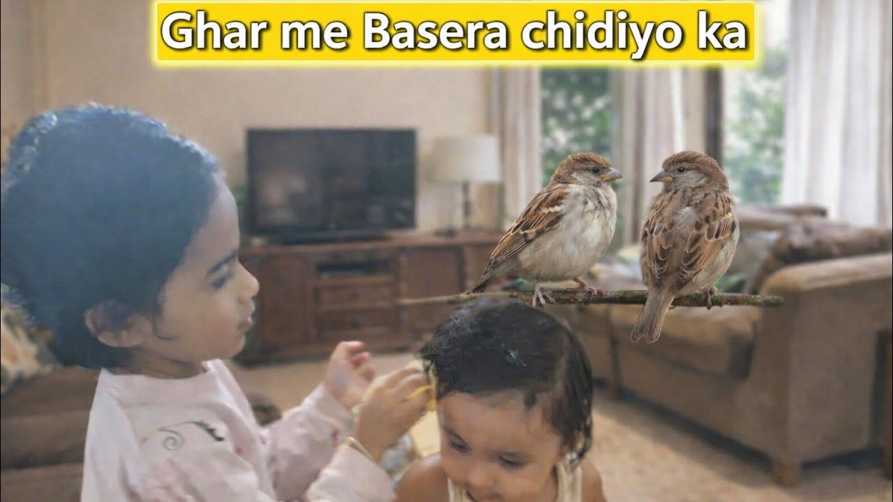 Ghar me basera chidiya ka| Didi ne ki saaf safai| Daily vlog | viral vlog