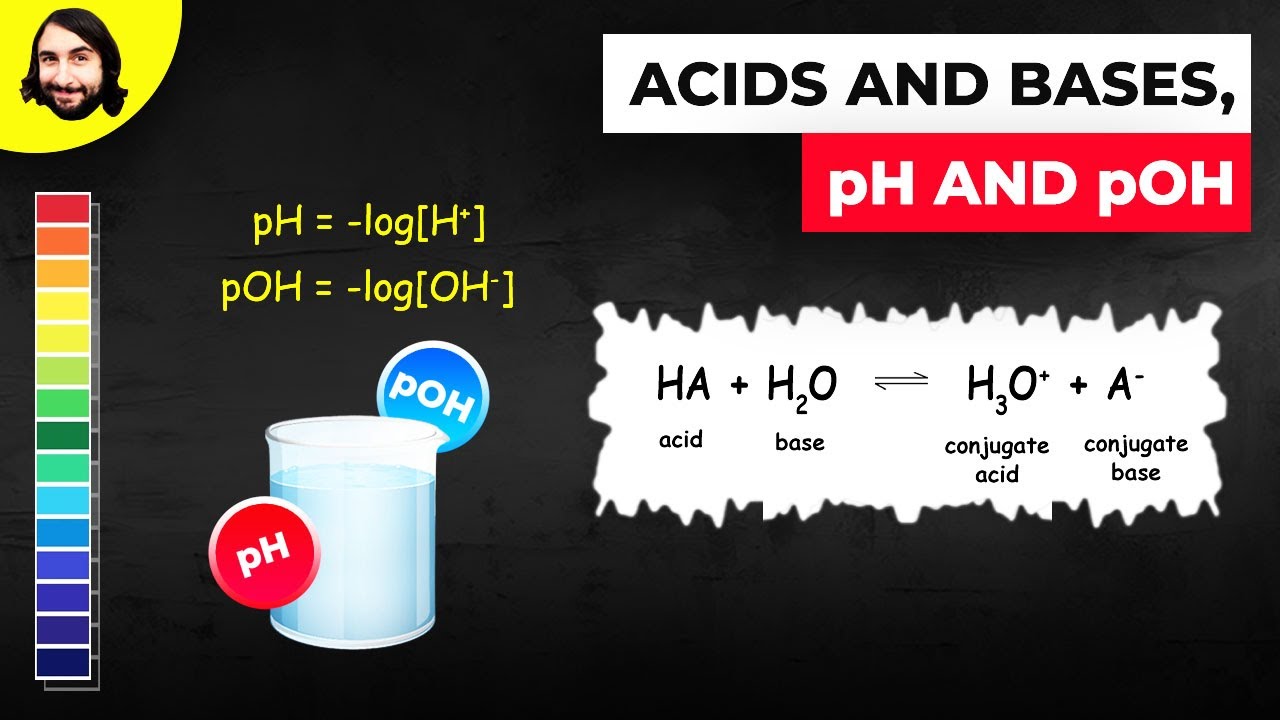 Acids and Bases, pH and pOH