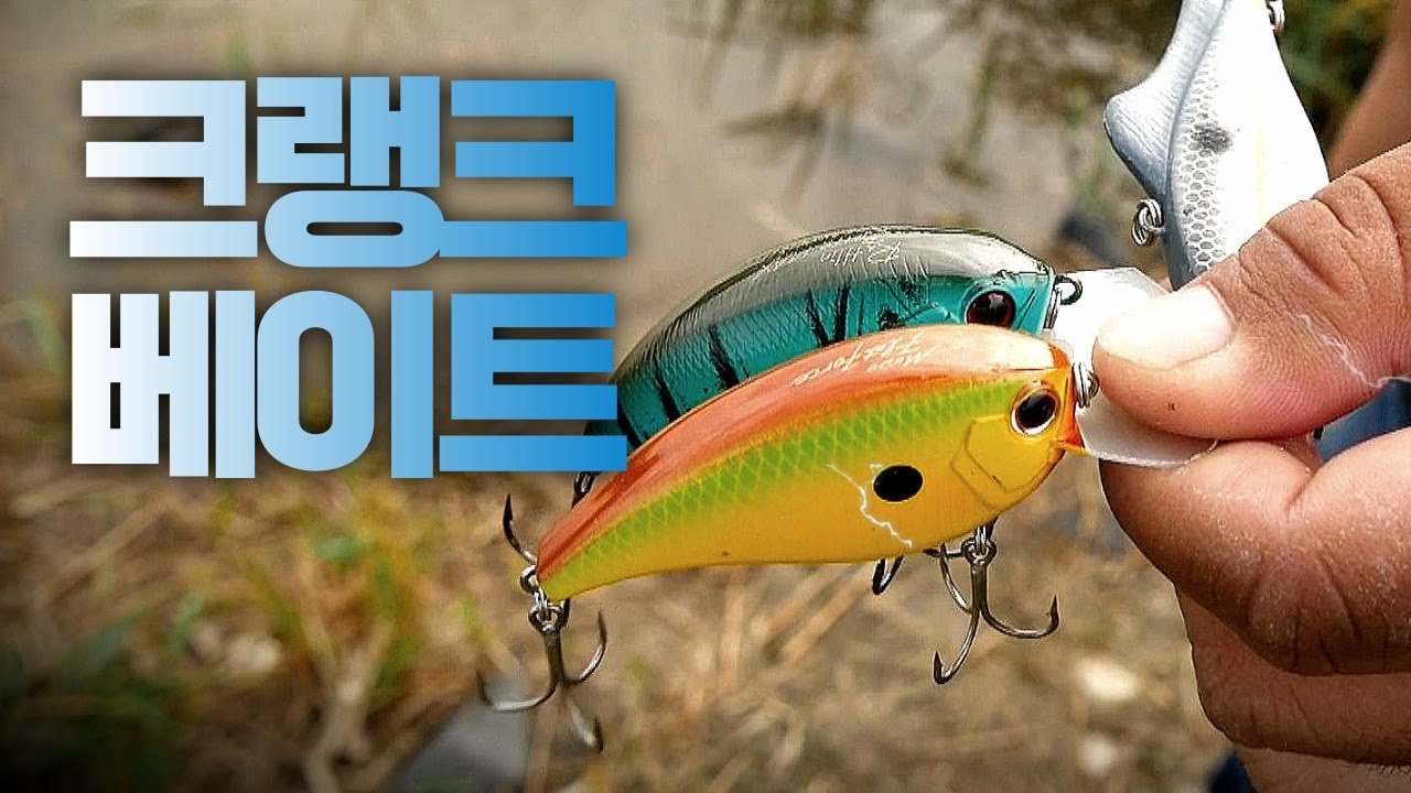 [박기현의 피싱로그99.9] #81 크랭크베이트로 가을 배스 공략!