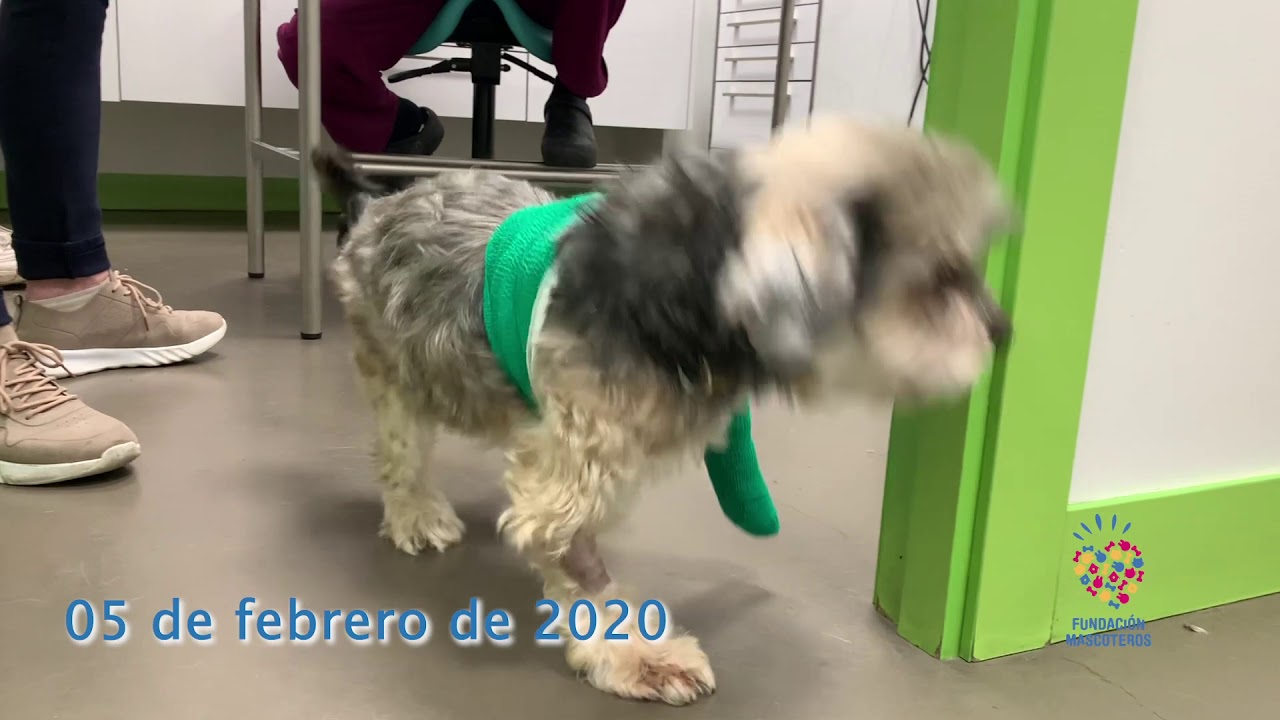 Nisky: fractura de húmero