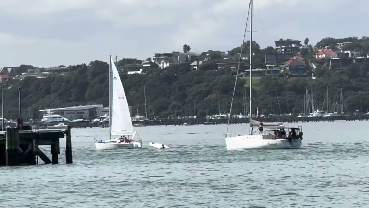 Sailing #auckland #sailing #sailboat
