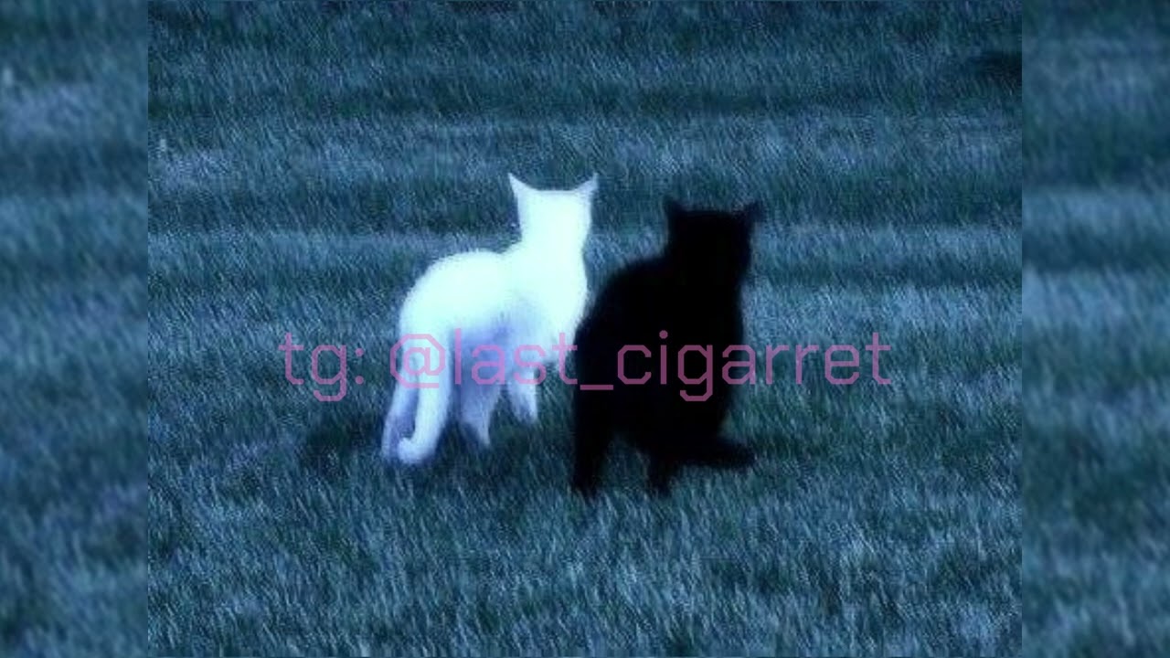 Lil Peep, rainy bear &ndash; nuts (ultra slowed x reverb)