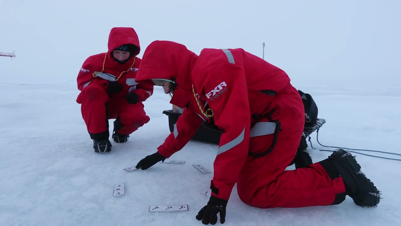 Drifting North: The Arctic Pulse