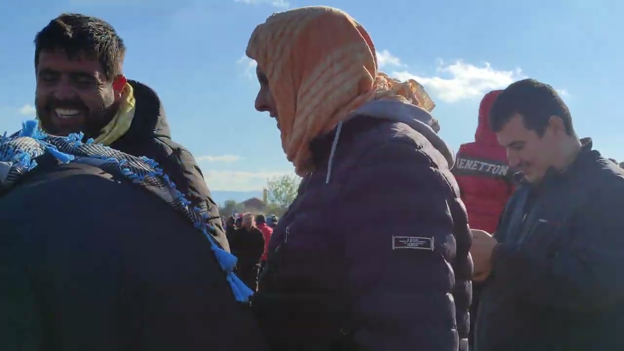 çırpı deve güreşi