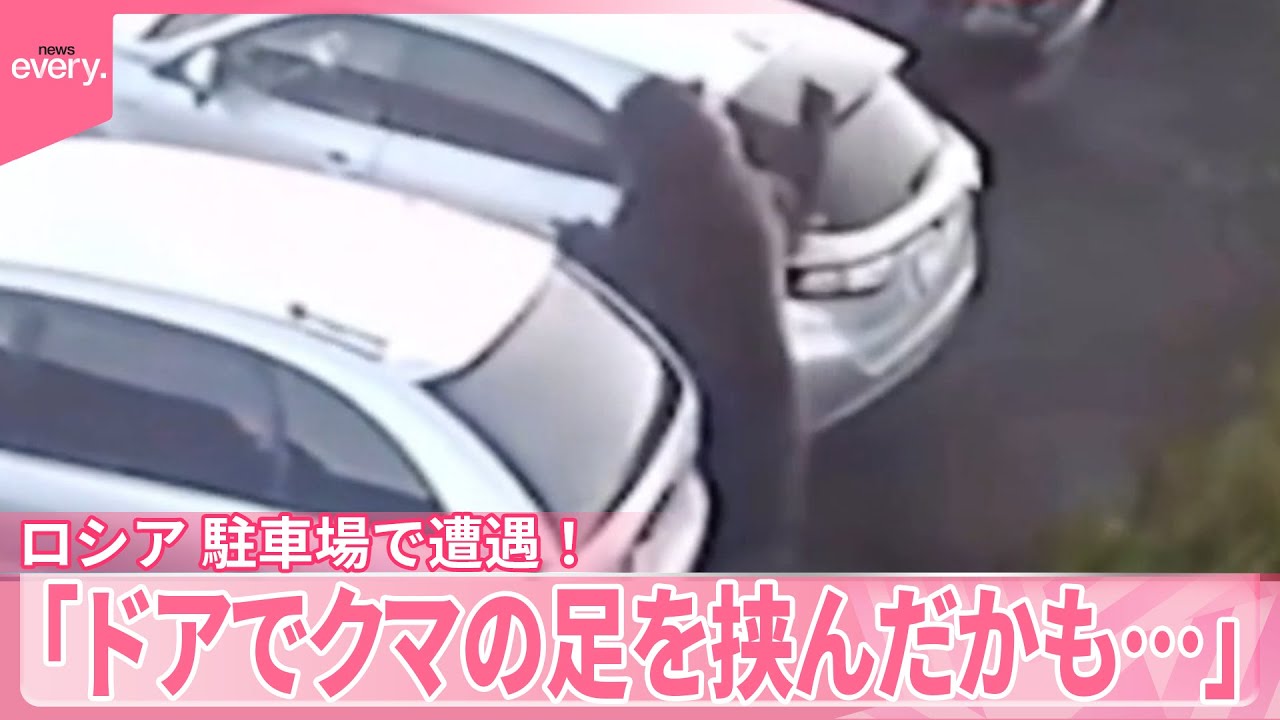 【ロシア】「ドアでクマの足を挟んだかも…」駐車場で遭遇！車をたたかれる【 #世界のミダシ 】