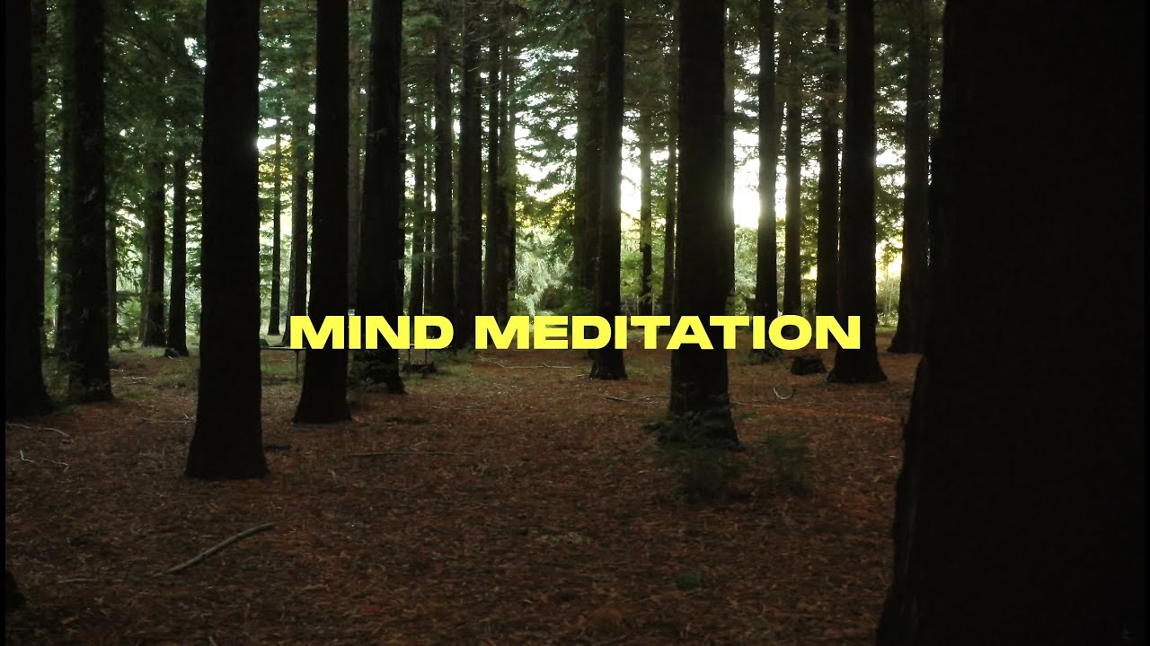 Paul Roux - Mind Meditation (Official Video)