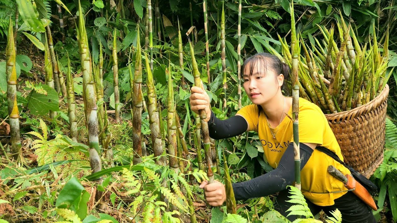FULL VIDEO 15 days With my daughter Harvest bamboo shoots, vegetables and cabbage to sell ​