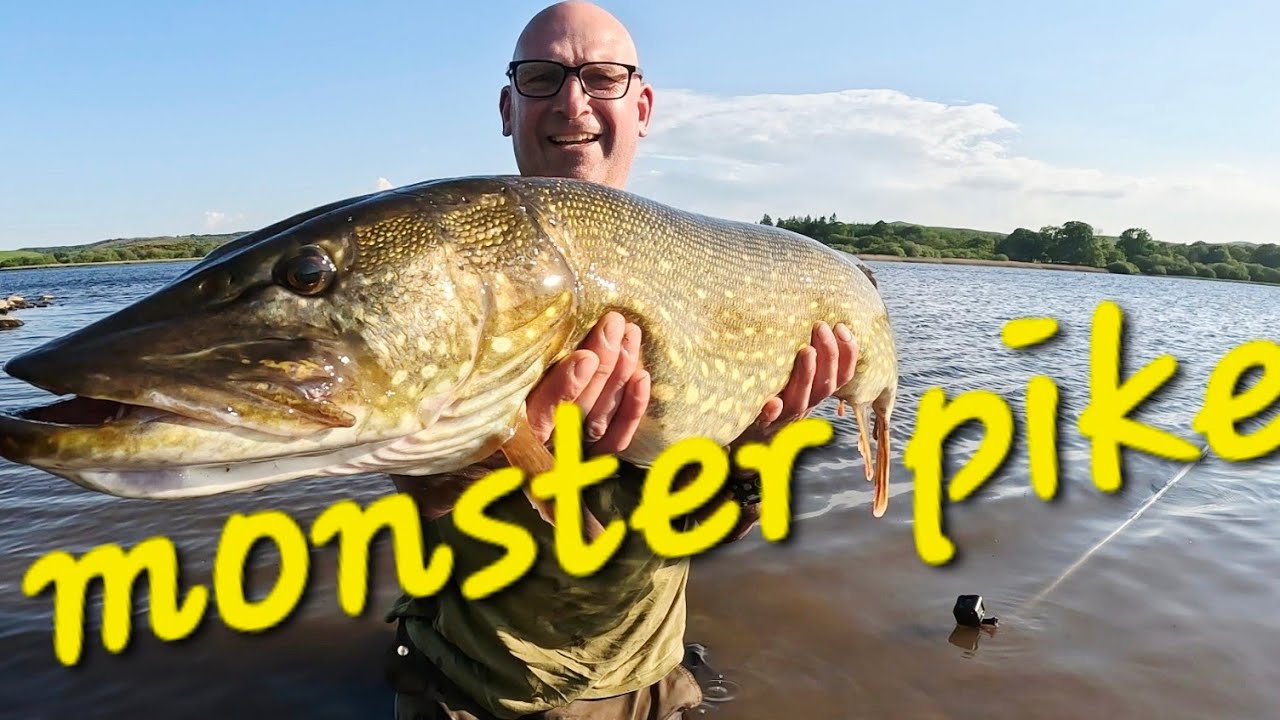 Monster pike on loch awe   #pikefishing#pike