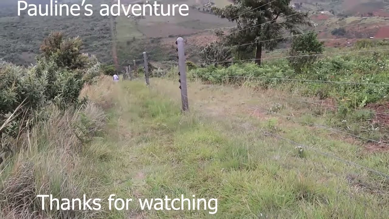 Eburu Forest hike