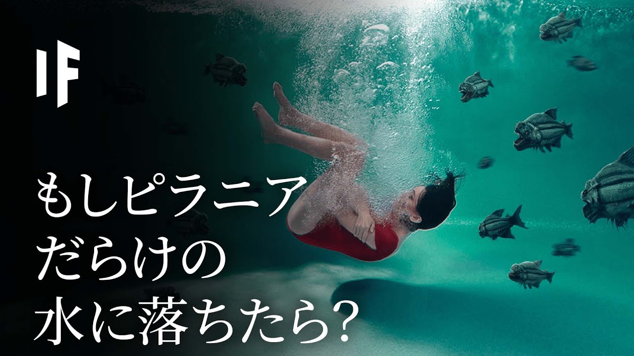 もしピラニアだらけの水に落ちたら？
