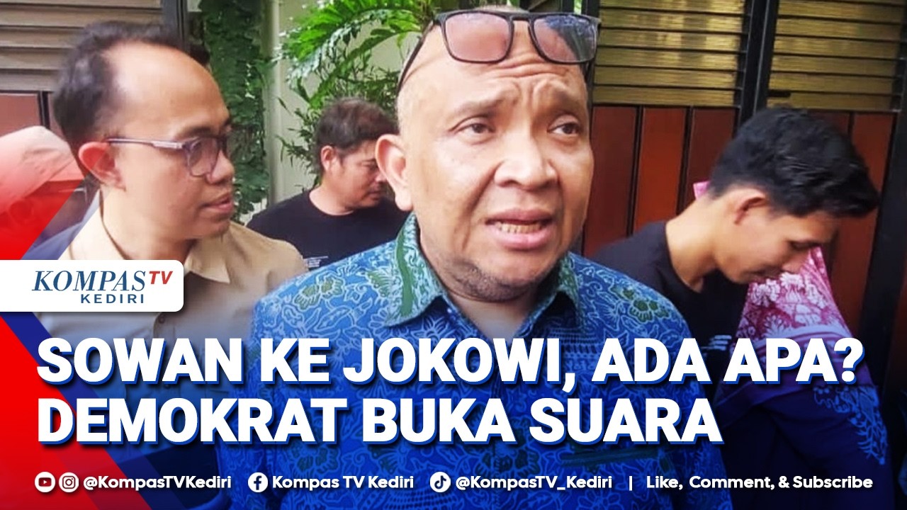 Isi Pertemuan Wasekjen Demokrat dengan Jokowi Terungkap