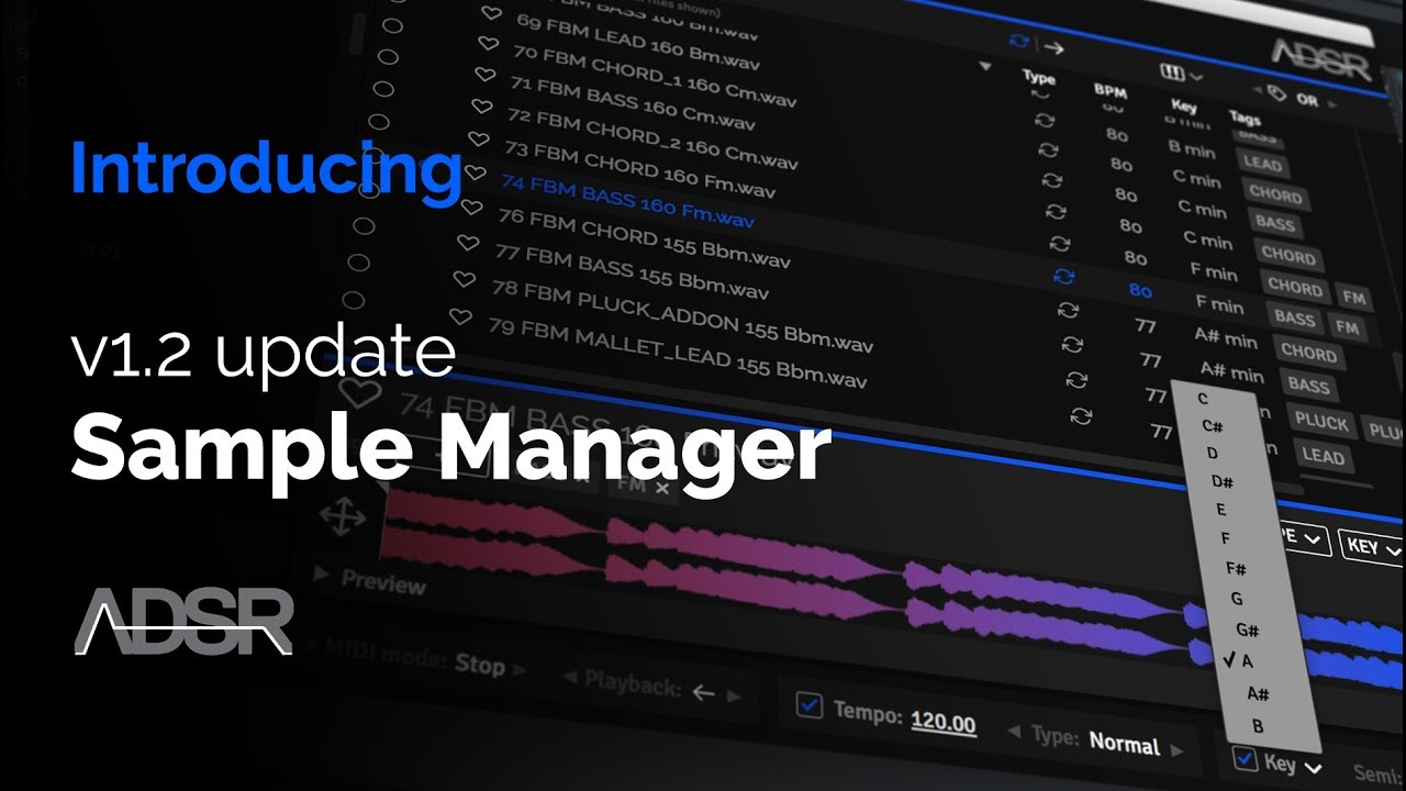 ADSR SAMPLE MANAGER 1.2 update - Key detection, Transpose, Standalone and more