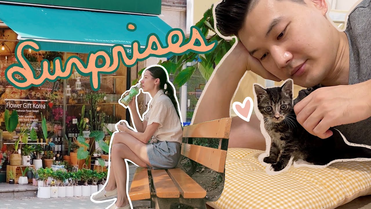 Week in Our Life in SEOUL | First Time Kitten Sitting 🐈 A Welcome Surprise & Working at Home 💻