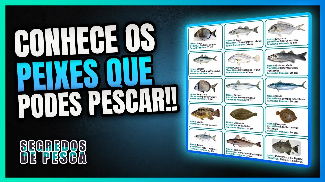 Conhece os peixes que podes pescar, tabela grátis para download.