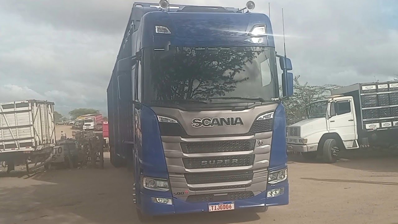 CARRETA DO ESTADO DO PARÁ COMPRANDO GADO EM CACHOEIRINHA_PE 