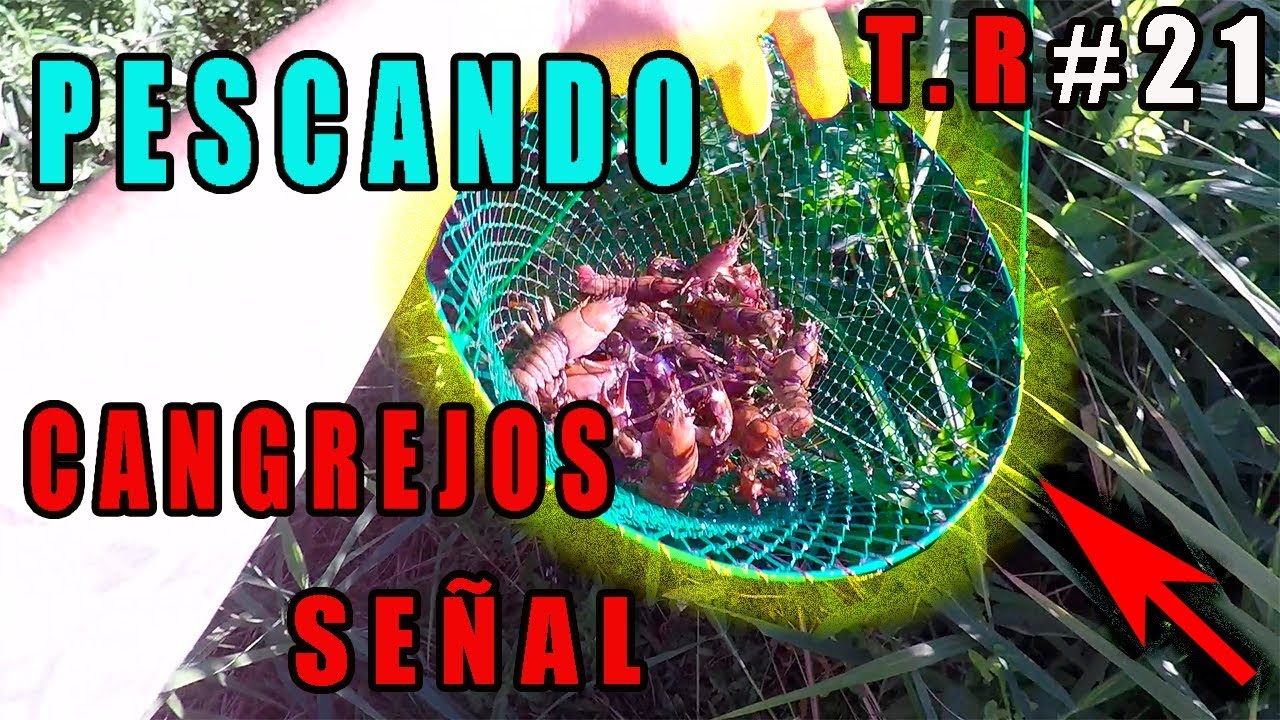 PESCANDO CANGREJOS SEÑAL 2018 HD