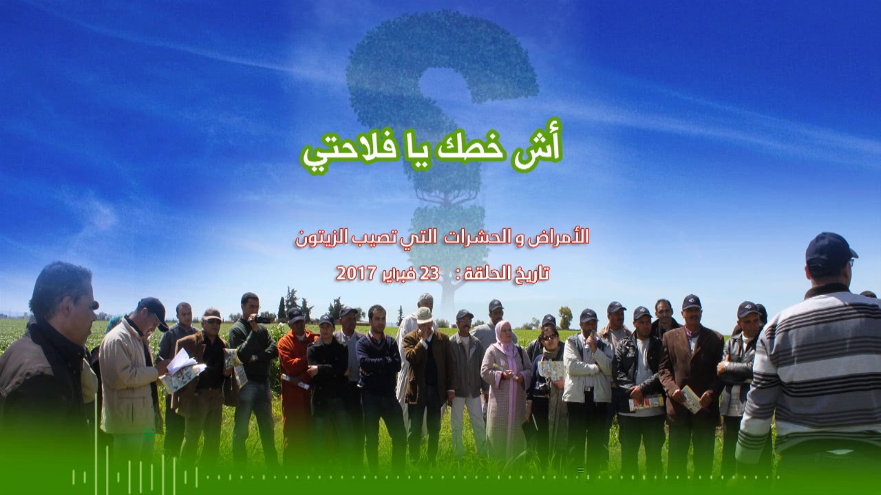 الأمراض و الحشرات التي تصيب الزيتون  - آش خصك يا فلاحتي