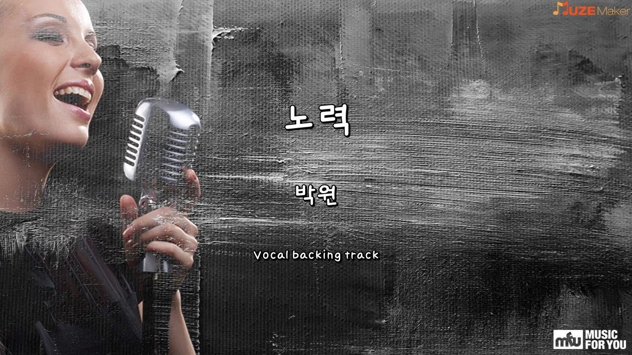 노력 - 박원 (Instrumental & Lyrics)
