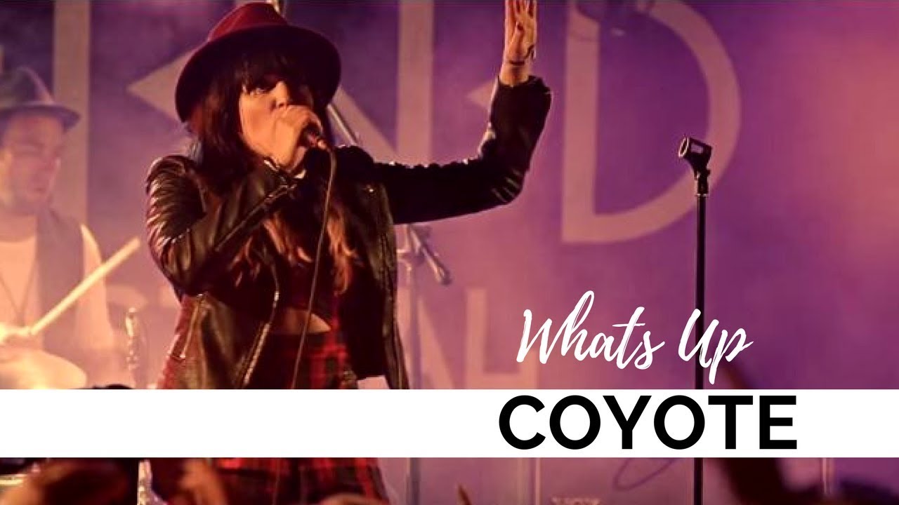 Coyote - Whats Up