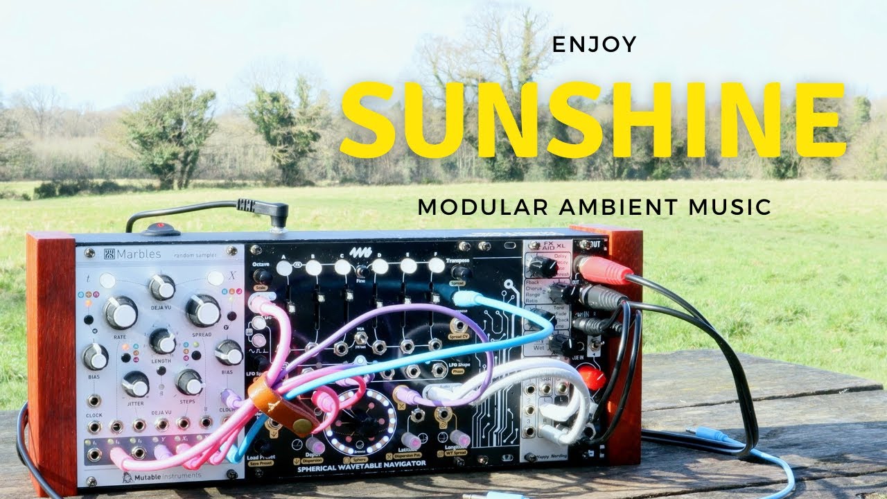 Enjoying a rare sunny day in Ireland! Ambient outdoor modular. 4ms SWN, Marbles and FX Aid XL.