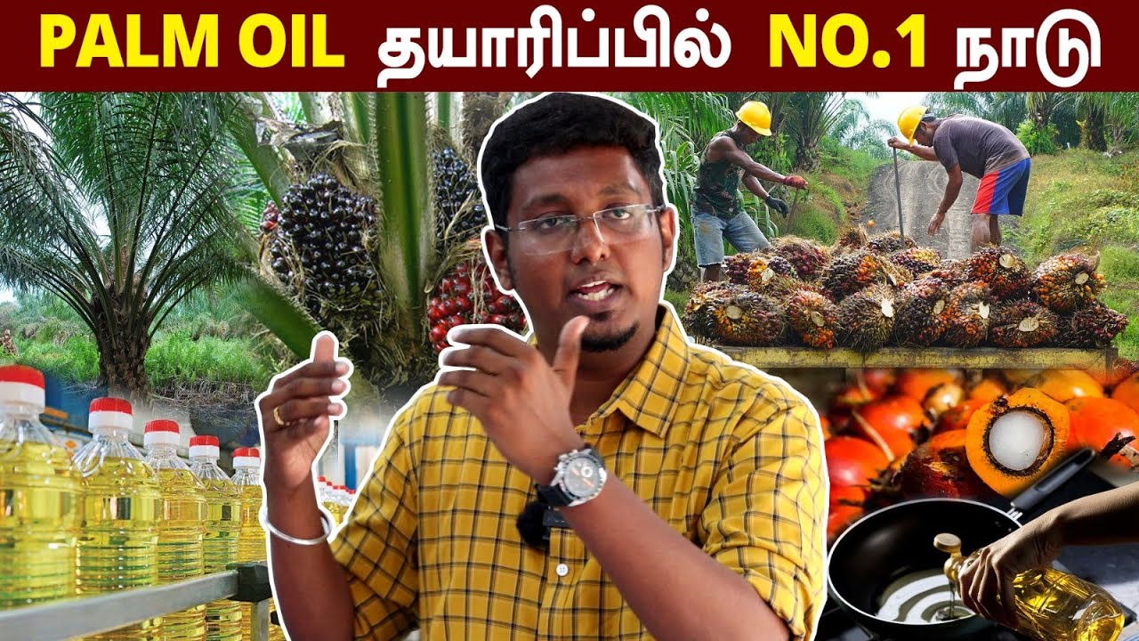 உலகின் தரமான Palm Oil இங்கு தயாராகிறது | 6000 Acre பாமாயில் தோட்டத்தின் சொந்தக்கார தமிழன் | Malaysia