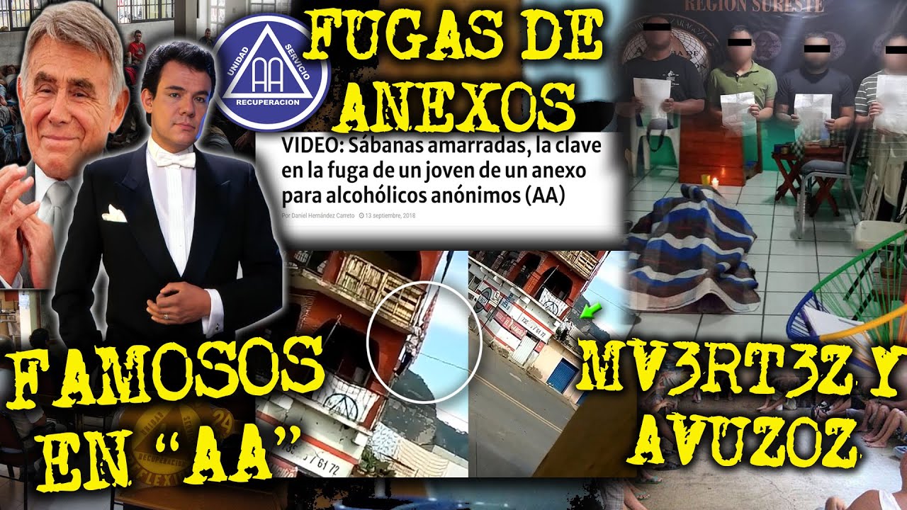 EL ICEBERG DE LOS GRUPOS DE ALCOHOLICOS ANONIMOS Y ANEXOS EN MEXICO