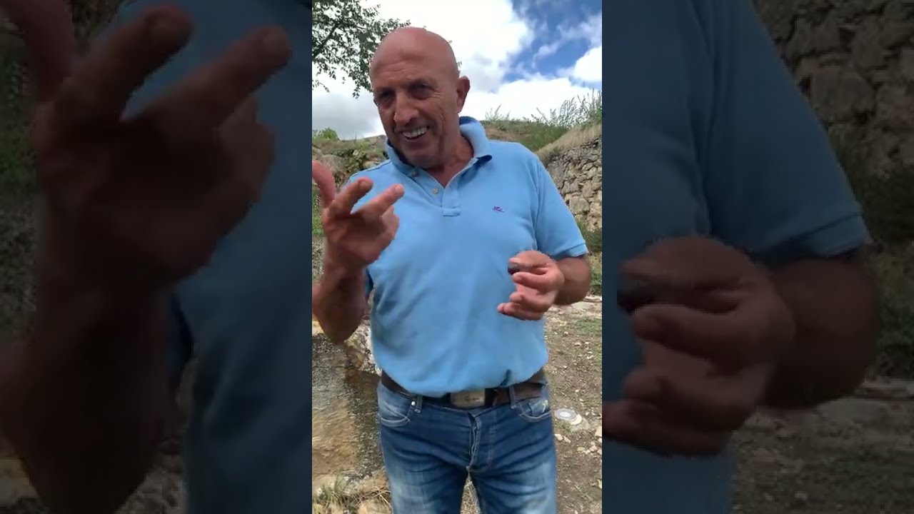 VINO A PIETRAGALLA  -  lezione 1