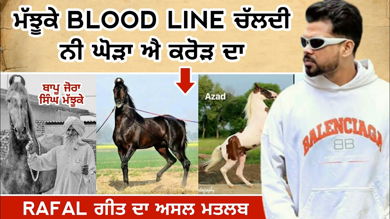 Arjan Dhillon ਨੇ Rafal ਗੀਤ ਚ ਕੀਤੀ ਮਝੂਕੇ ਘੋੜਿਆਂ ਦੀ ਗੱਲ | arjan dhillon new song | Jalwa | fact punjab