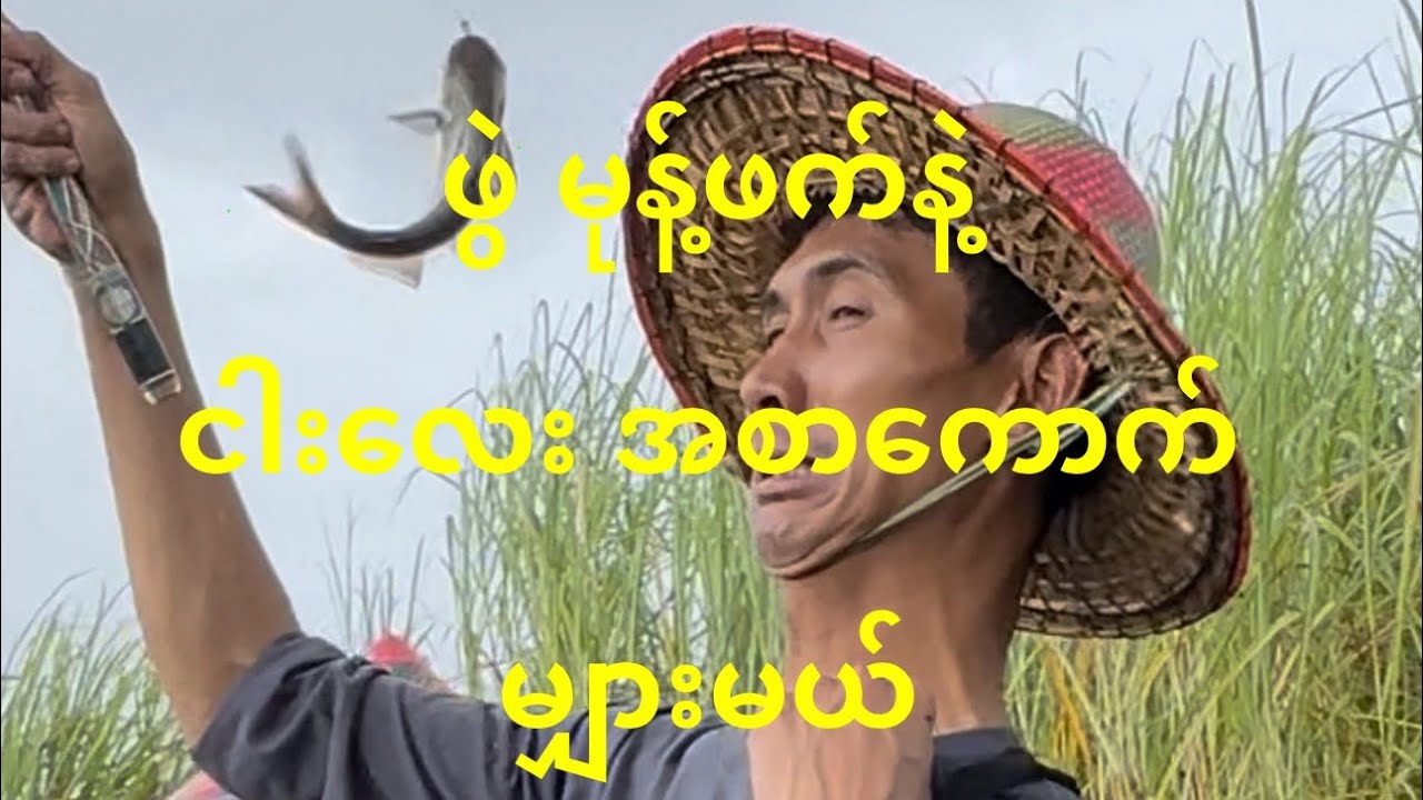 လယ်တောထဲမှာ ဖွဲမုန့်ဖတ်နဲ့ငါးလေးမျှားမယ်#myanmaranglersdream #fishing #vlogbykokyaw #myanmarfishing