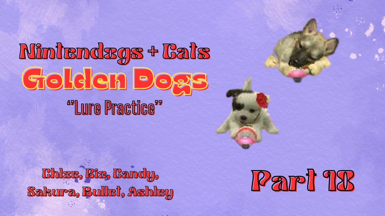 Lure Practice | Golden Dogs  | Nintendogs + Cats | Episode #10