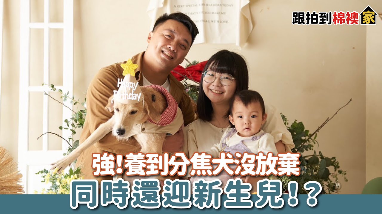 強！養到分離焦慮犬狂哭叫同時還迎接新生兒！？