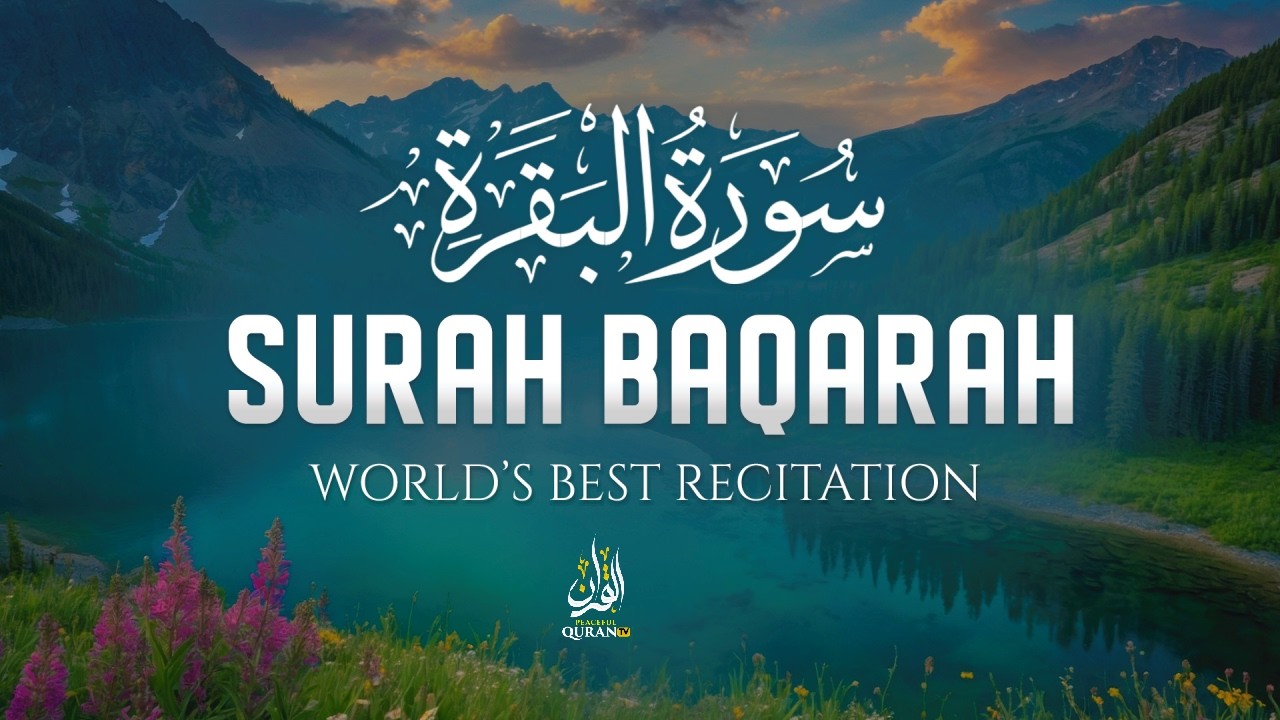 Surah Al-Baqarah Full (سورة البقرة) | Deep Relaxing Quran for Stress-Free Mind #relaxingquran