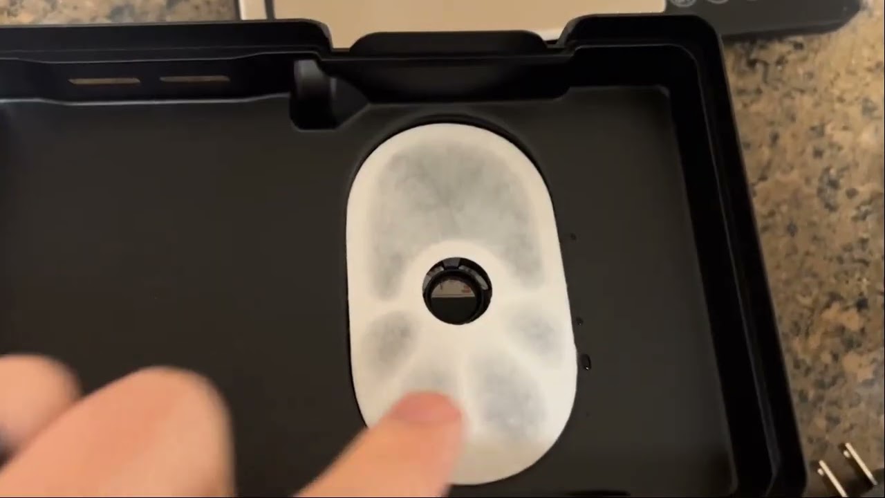 Is Automatic Cat Water Fountain for Cats and Small Dogs worth it?