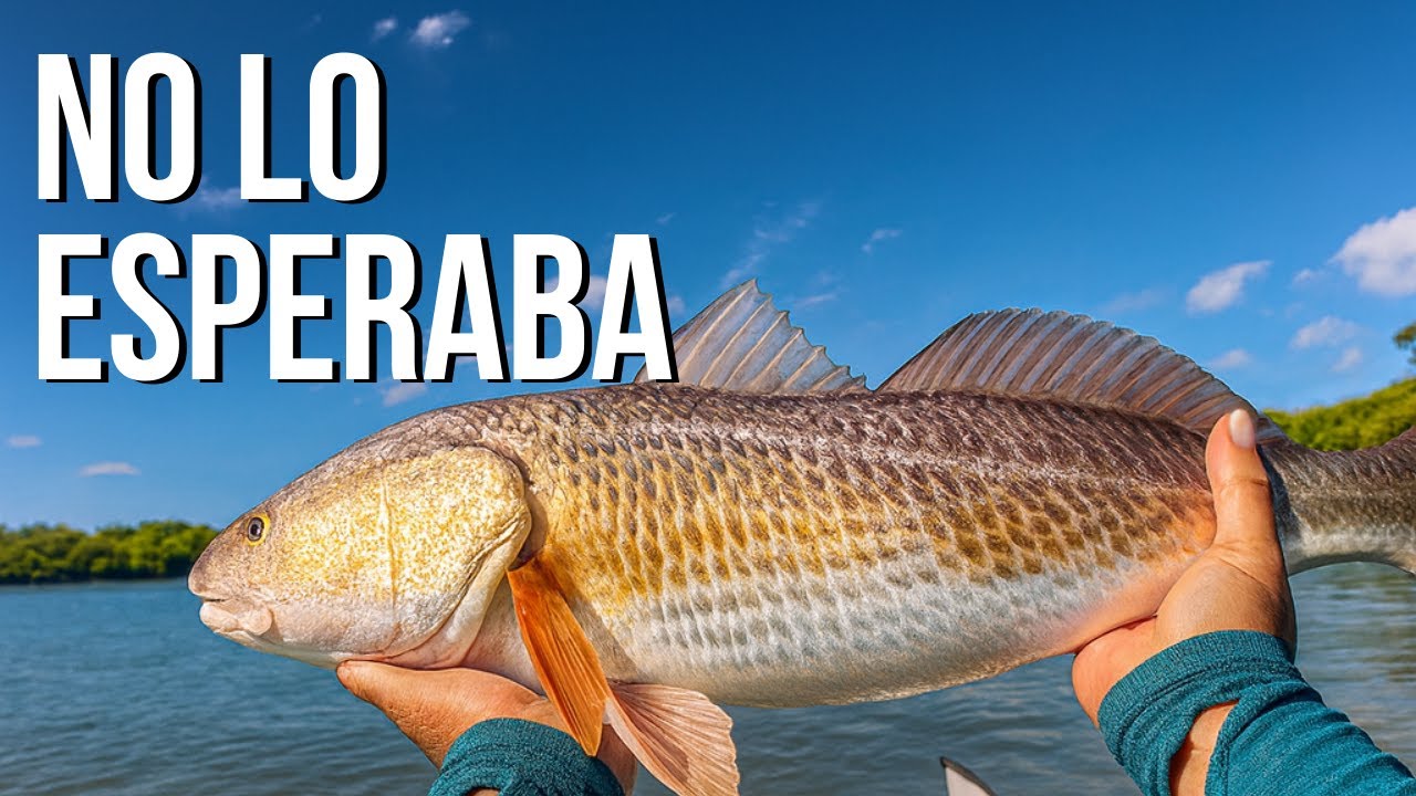 Una BESTIA en un Nuevo Spot
