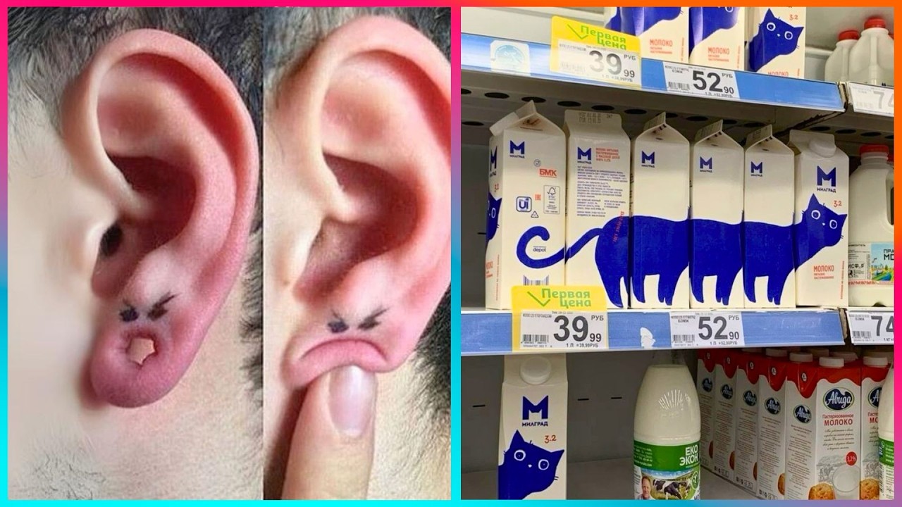 Artists Being The Funniest People Ever ▶ 16