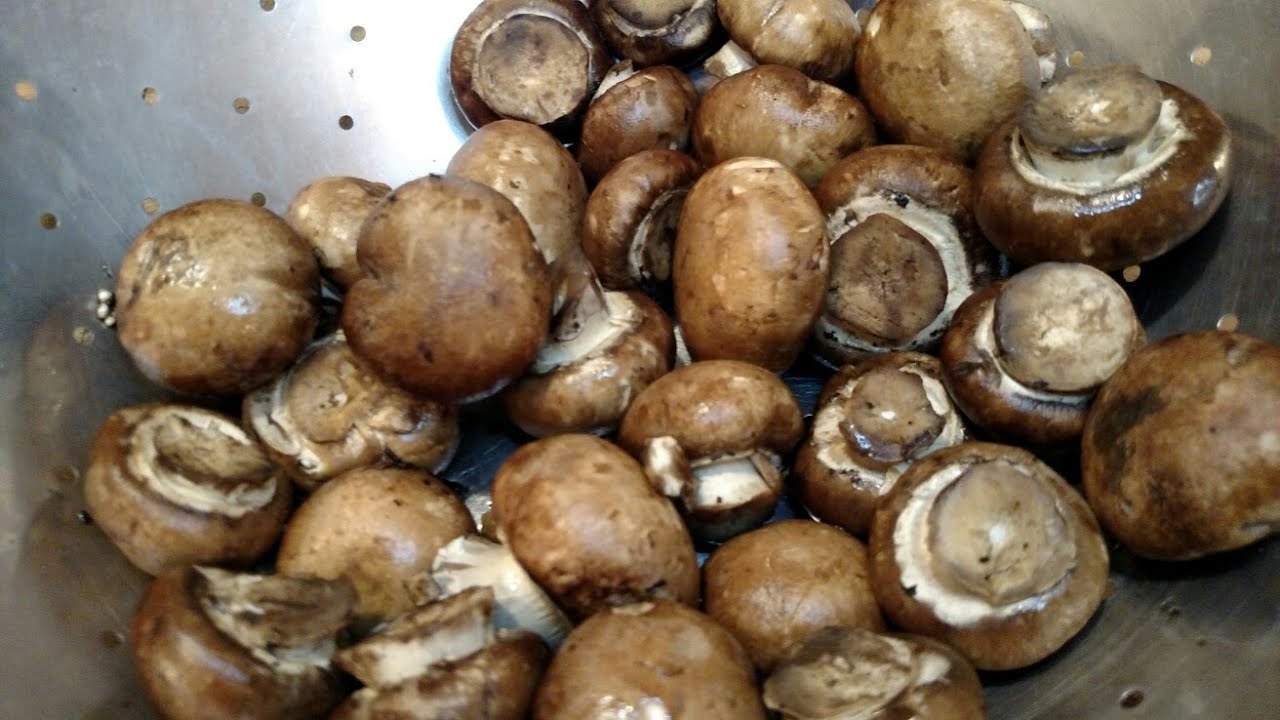Freezing Raw Mushrooms