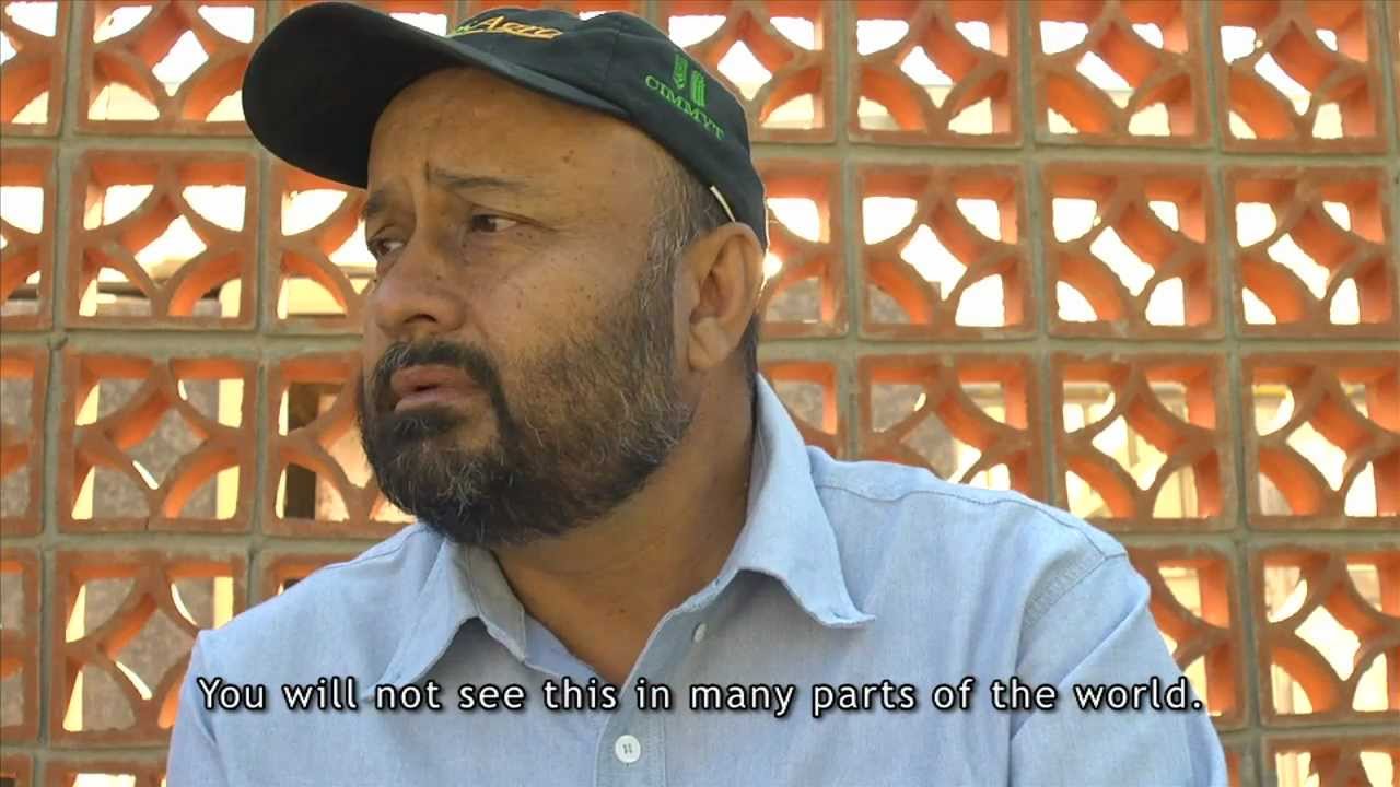 A field interview: Norman Borlaug, Patronato, and farmers working for farmers