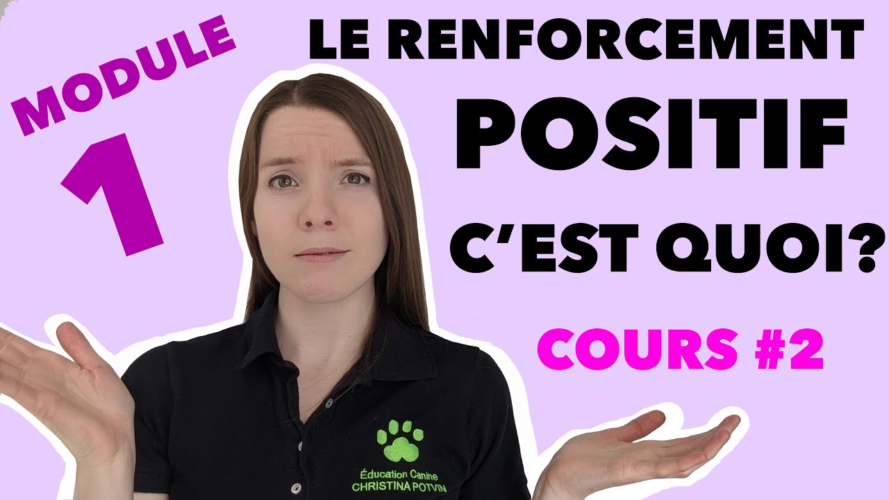 Module 1: 2-Le renforcement positif, c'est quoi ?  | EDUCATION CANINE GRATUITE AVEC CHRISTINA POTVIN
