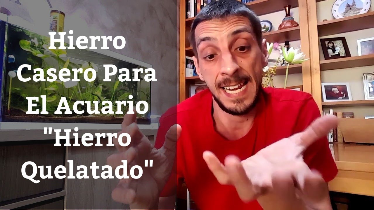 🔵 Hierro Casero Para Nuestras Plantas A Base De Hierro Quelatado Para Acuario (Acuarios MB)