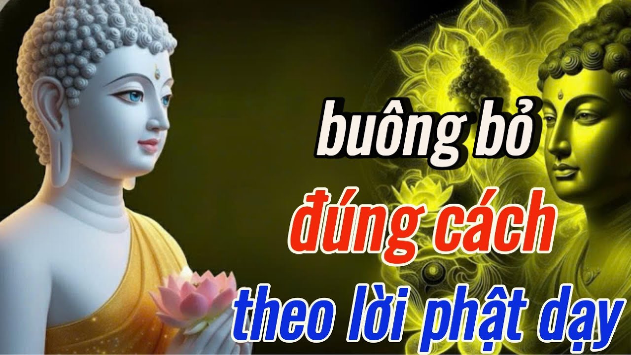 Phật Dạy: hãy buông bỏ đúng cách theo lời phật dạy
