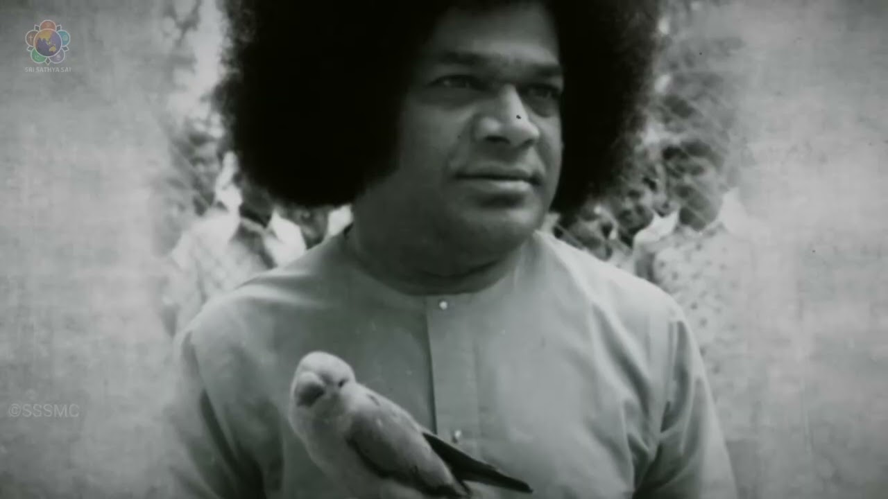 Pashupati - El Señor de todas las Criaturas | Serie Documental sobre Sri Sathya Sai