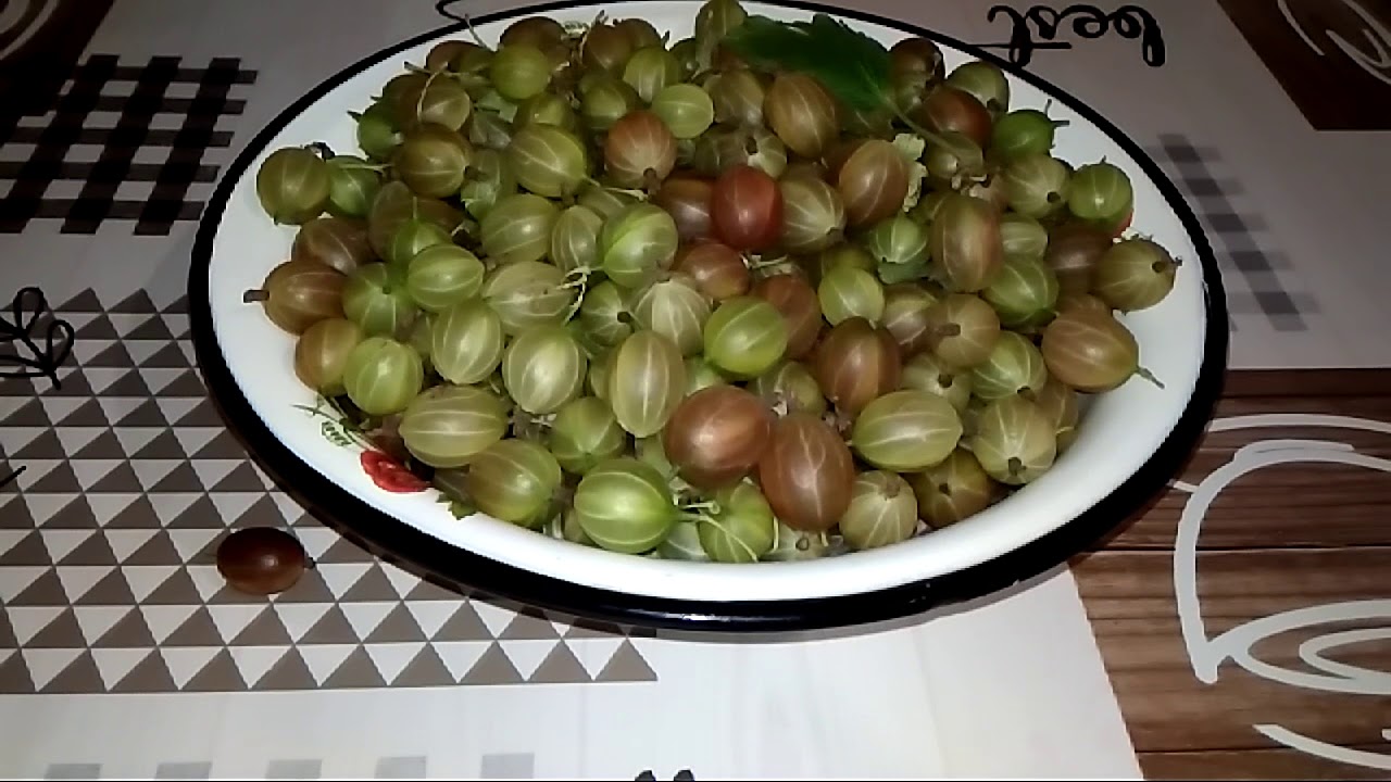 ИЗУМРУДНОЕ ВАРЕНЬЕ из КРЫЖОВНИКА или ЦАРСКОЕ. #рецепт #изумрудноеваренье #крыжовник