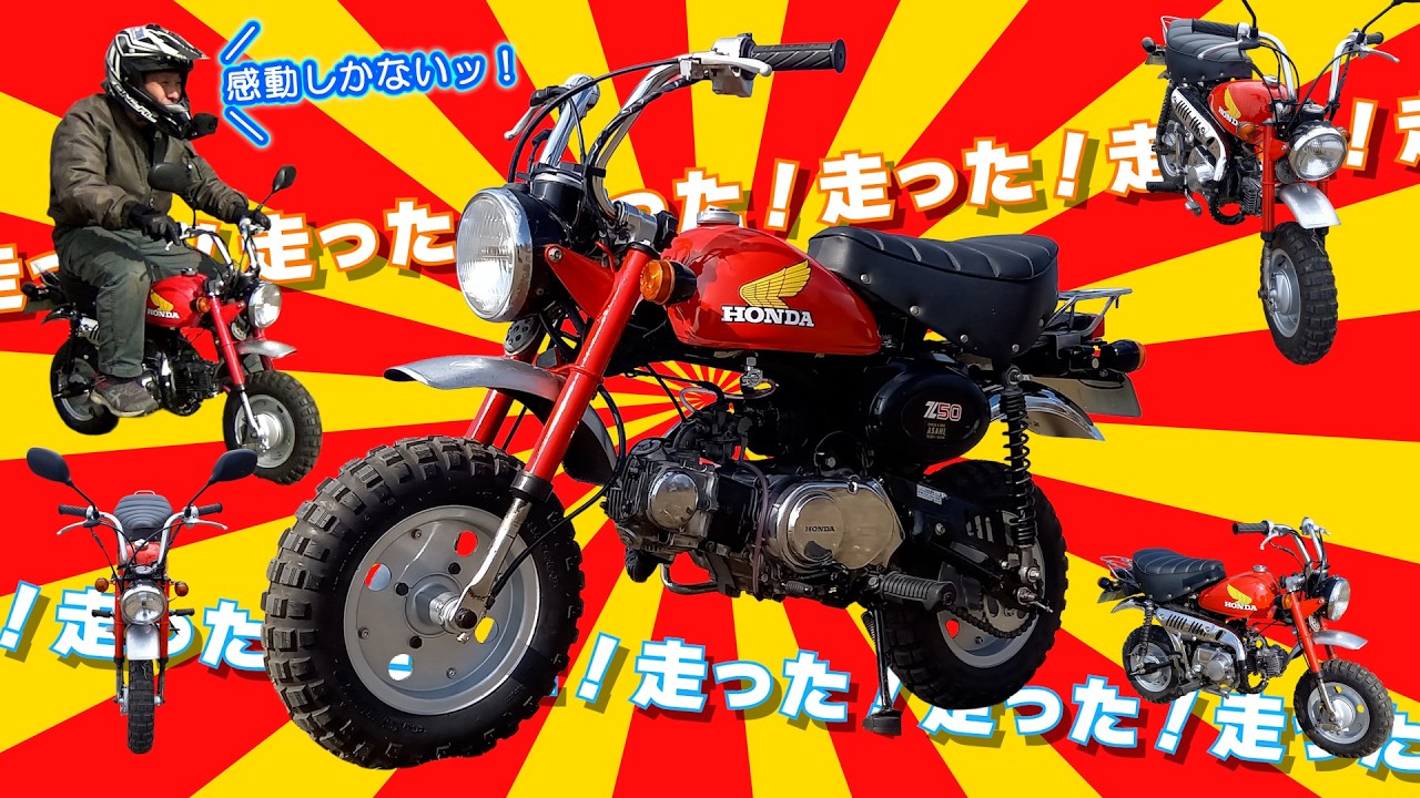 【感動回】走った！走った！モンキーが走った！！！！ ≪箱入りモンキー 復活計画＃24≫