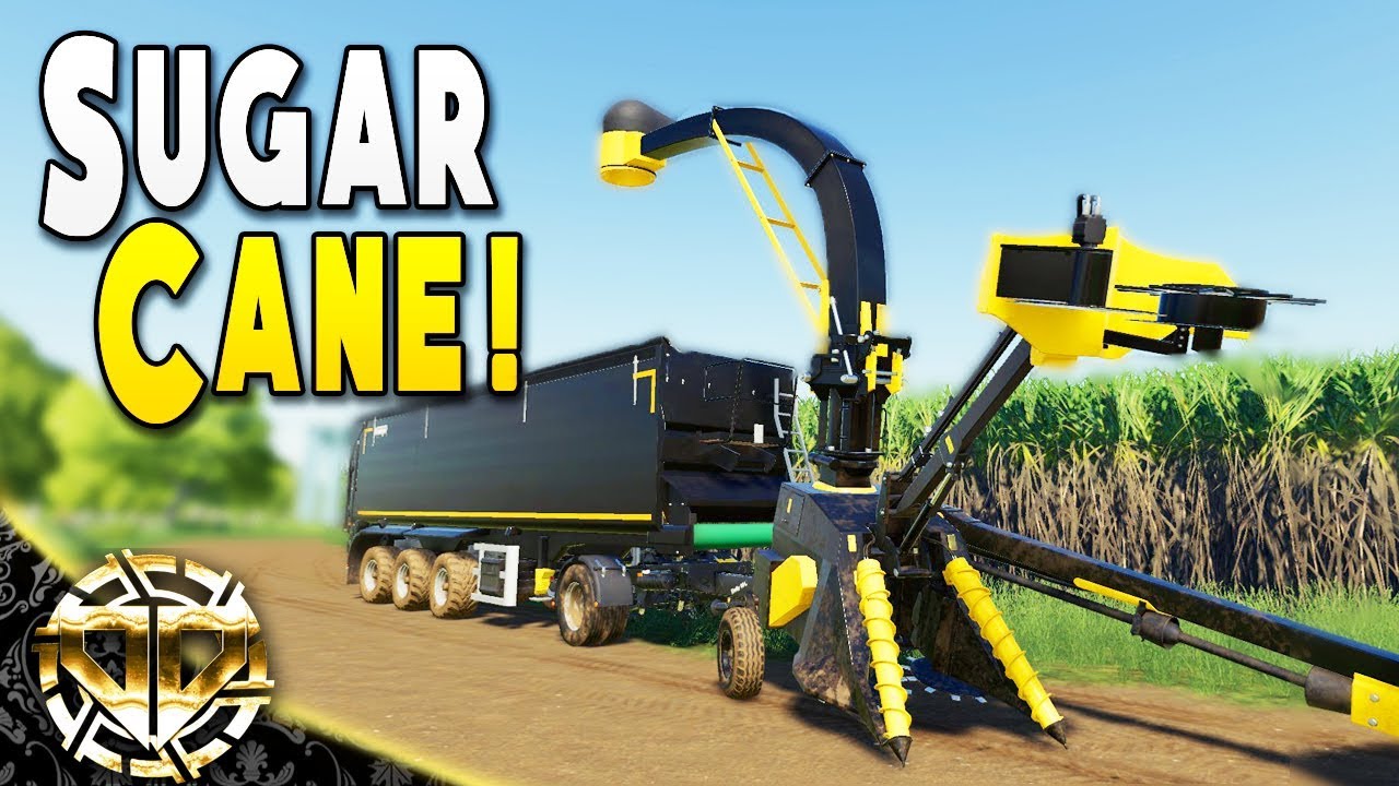 SUGARCANE FARMING : THE FINAL BREAKFAST FARM TOUCH  - Farming Simulator 19 Gameplay - EP 12