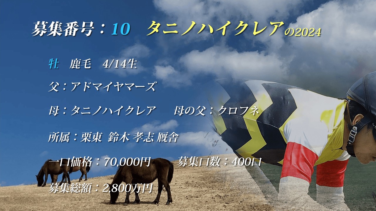 【2025年度[2歳馬]】10 タニノハイクレアの2024